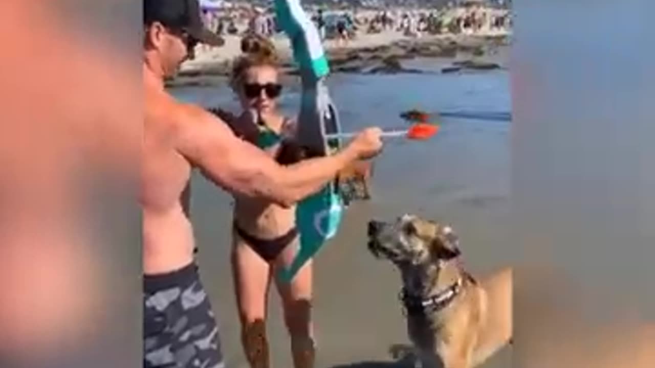 Funny animals๐๐๐