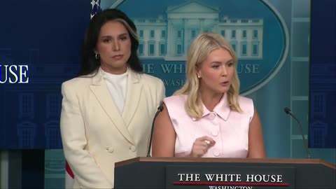 Karoline Leavitt sets CNN reporter straight on Trump and Tulsi