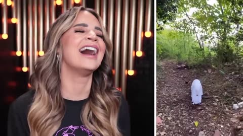 The CUTEST Animals On TikTok - YouTube