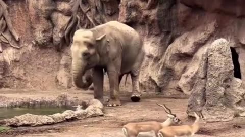 Helping hand