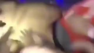 🤯🏄‍♂️ This Crowd Surfing Attempt is EPIC! | FunFM
