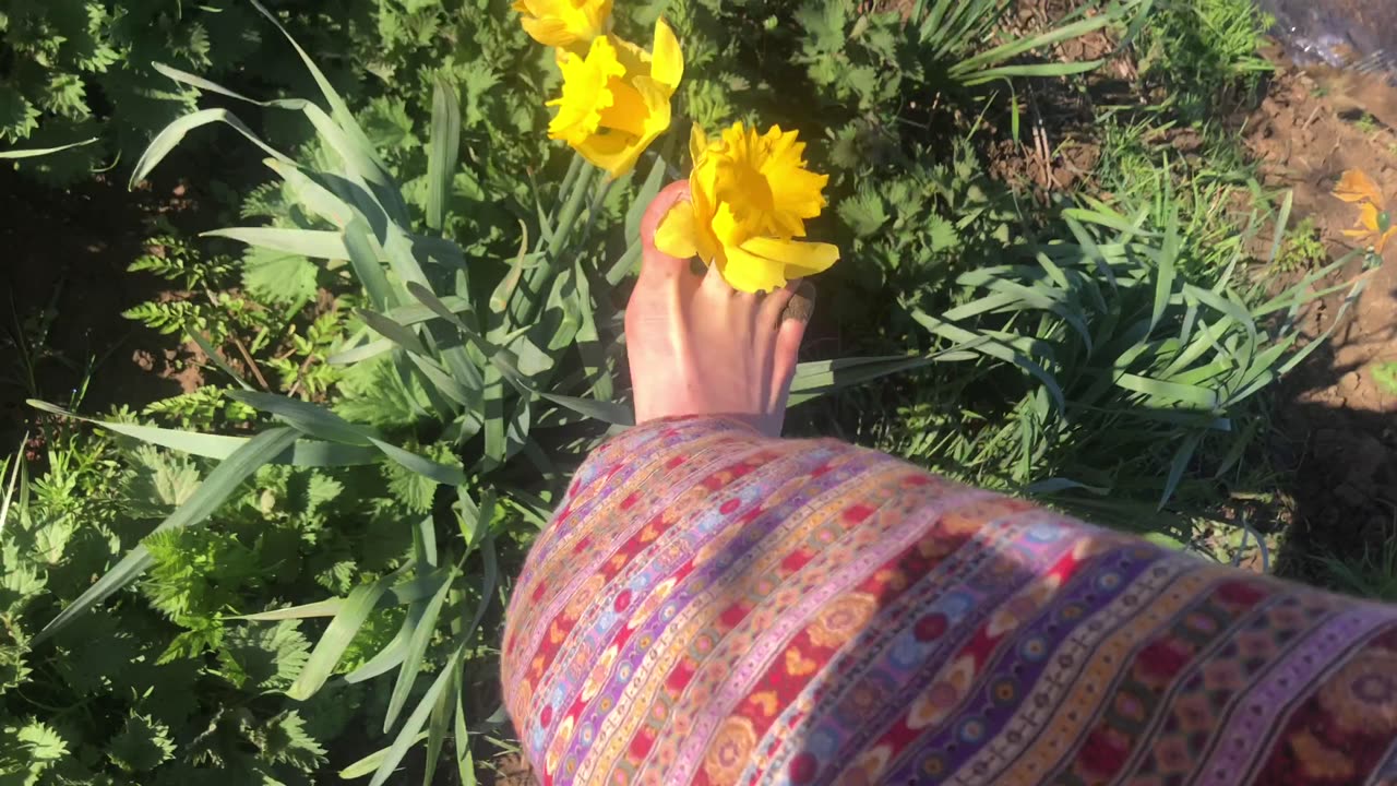 Barefoot adventures 👣