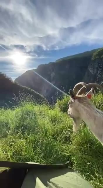 Camping in the great outdoors