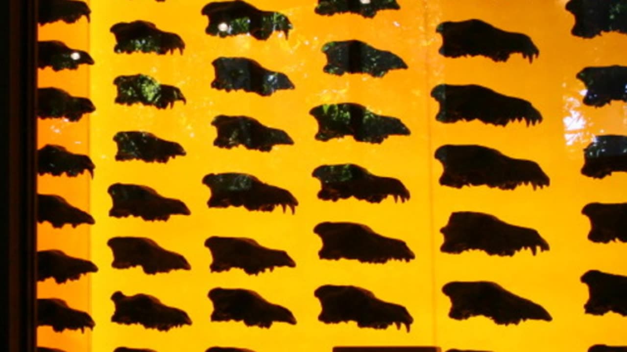 Dire Wolves: An Ice Age Fossil reborn
