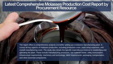 Molasses Production Cost Analysis Report