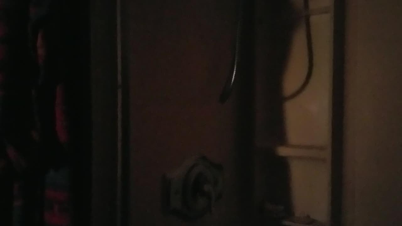 More Barking Puppies and Raging Predvidians 😂😂