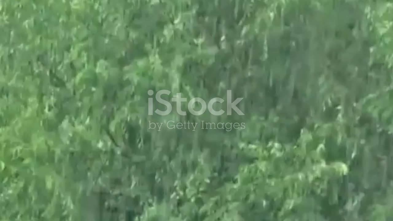 From Hazardous to Okay: Delhi’s PM2.5 Drop Explained FAST