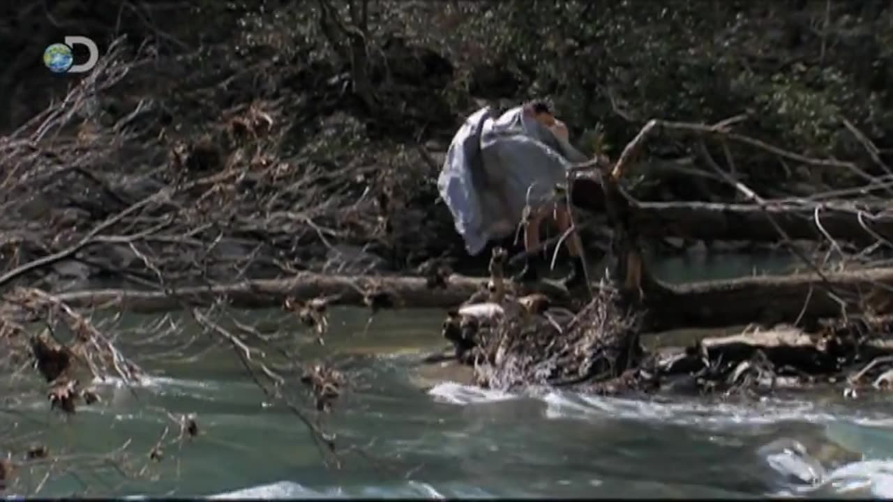 Man_vs._Wild_-_Alabama_-_Clothingless_Crossing(0)