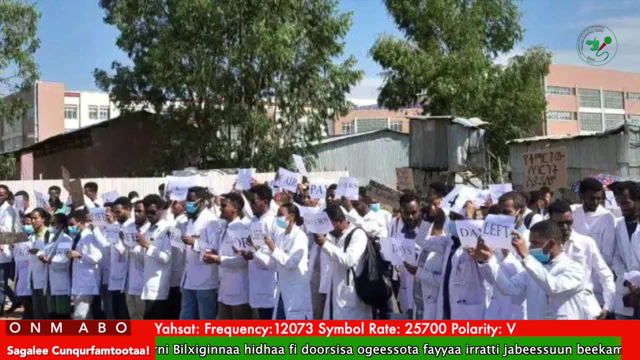 Oduu Waaree ONM-ABO Caamsaa 21-2025 itti dhiyaadhaa!