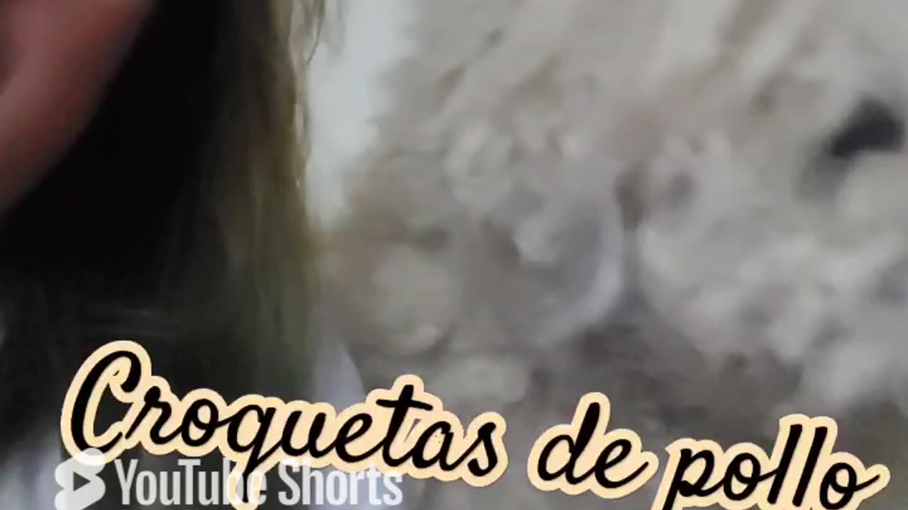 NELSON SE COMIO LAS CROQUETAS DE POLLO