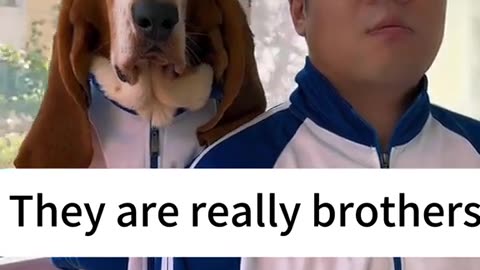 😍🐶 This Dog and Owner Look ALIKE! Animals Are So Beautifully Similar to Their Owners | FunFM