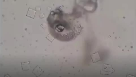 Nicotine Destroys Injectable NanoTech