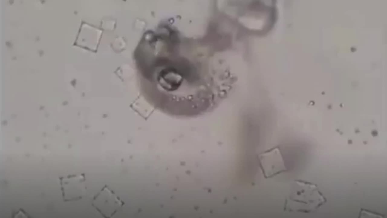 Nicotine Destroys Injectable NanoTech
