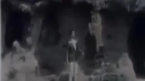 AŞKIMIN BÜLBÜLÜ GÖNLÜMÜN GÜLÜ