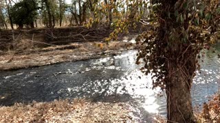 PABLO CRUISE Love Will Find a Way & Whatcha Gonna Do