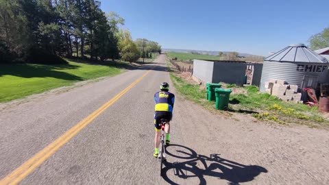 Ammon Rollers with Briggs