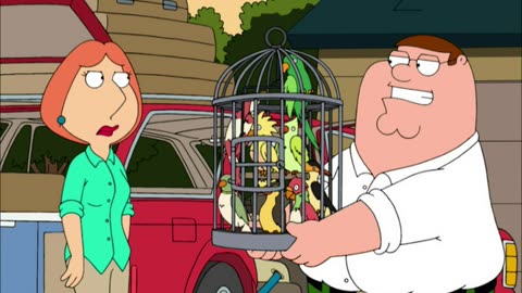 Nonstop family/guy