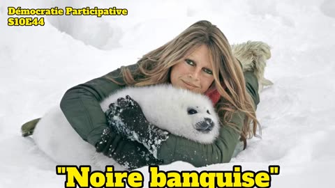 Démocratie Participative S10E44 : “Noire banquise” [Flokossama]