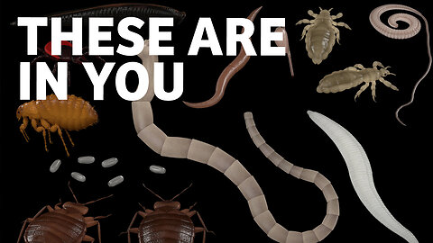 The Truth About Parasites: What You Need to Know for Better Health