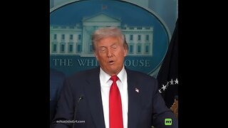 Trump comenta sobre la futura reunión con Putin y su llamado a Zelenski