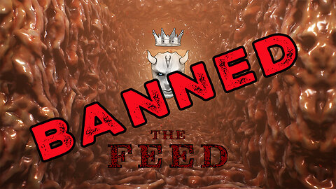 King Saltine - The Feed