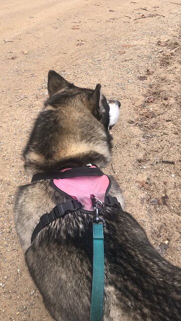 Thursday March 20, You have already won your fight