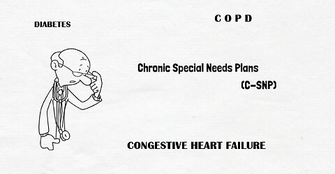 What is a Chronic Special Needs Plan?