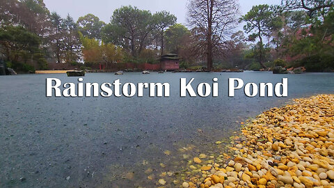 1 Hour of Rain on a Japanese Garden Koi Pond | Relaxing Nature Sounds for Deep Sleep & Calm Focus
