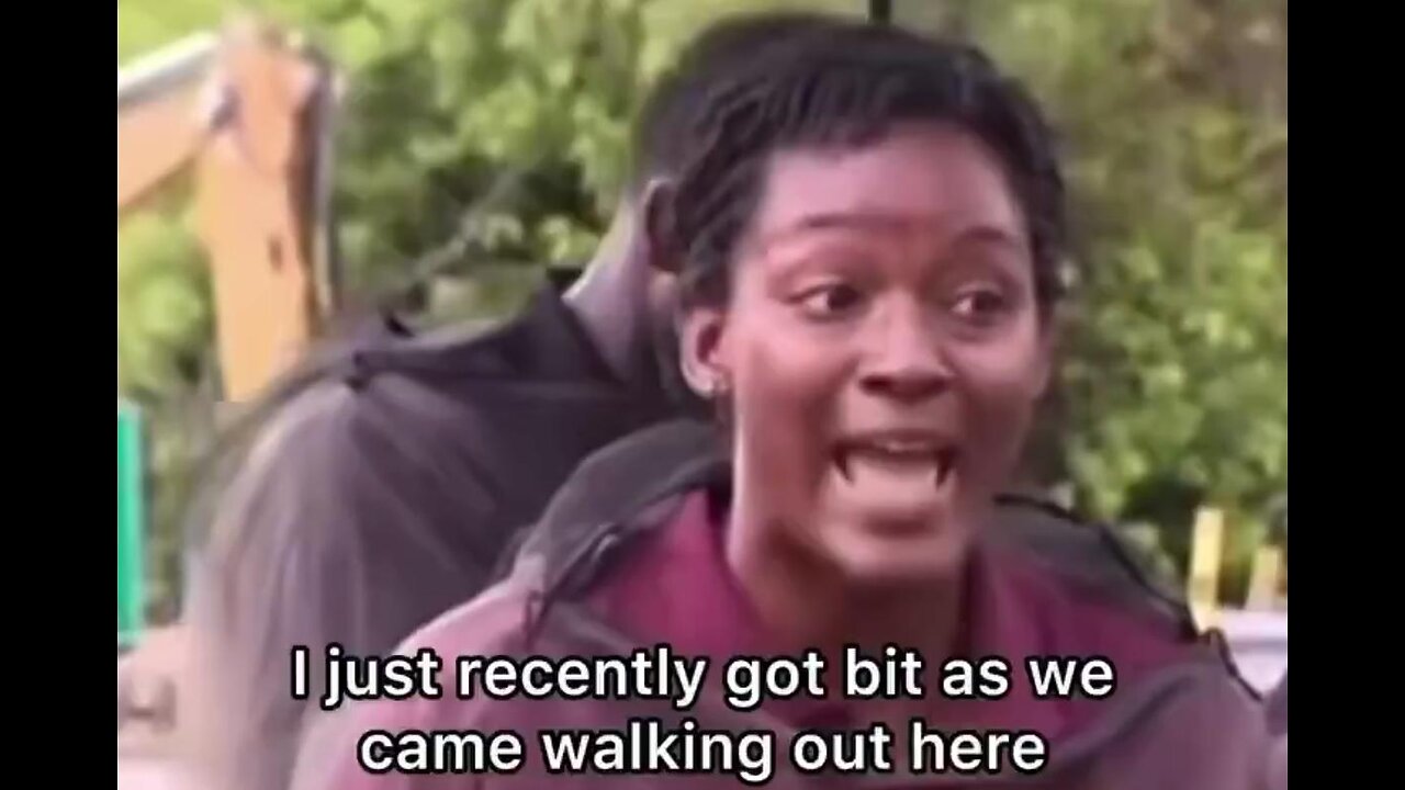 Anti-ICE protesters outside Alligator Alcatraz getting EATEN UP by mosquitoes