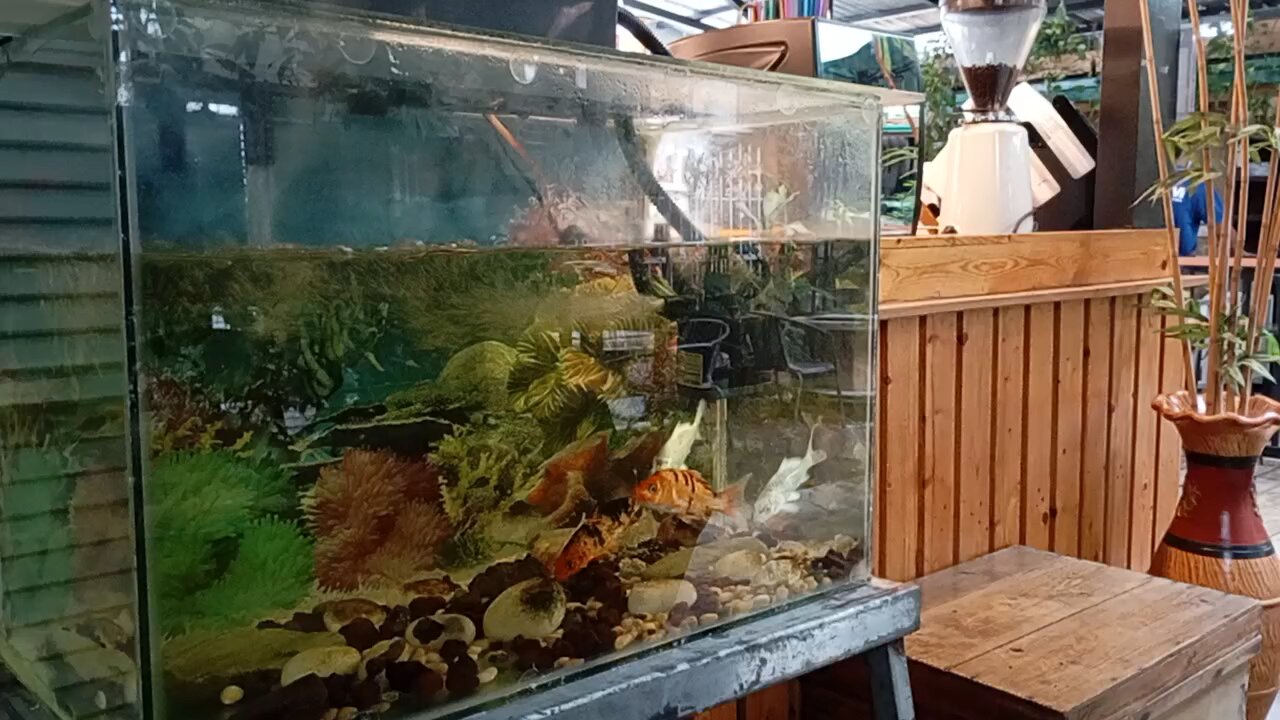 Buksan Mo Pinto Buksan Mo Pinto