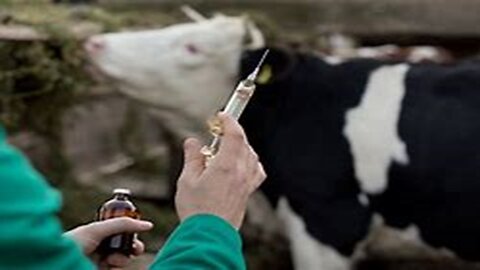 100 Million Animals Have Been Injected with mRNA Vaccines|Dr. Bryan Ardis