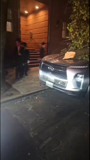 Chaveirim is on scene removing a big branch from a tree that fell on top of a