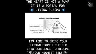 A Portal For Living Plasma