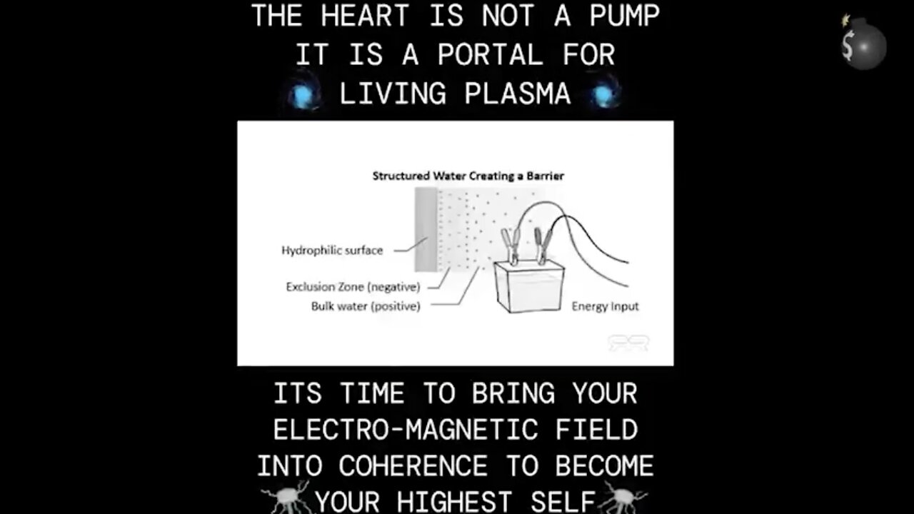 A Portal For Living Plasma