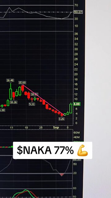 $NAKA 77%💪
