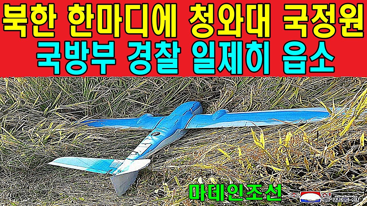 북한 한마디에 청와대 국정원 국방부 경찰 일제히 읍소