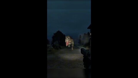Am I Seeing Things??