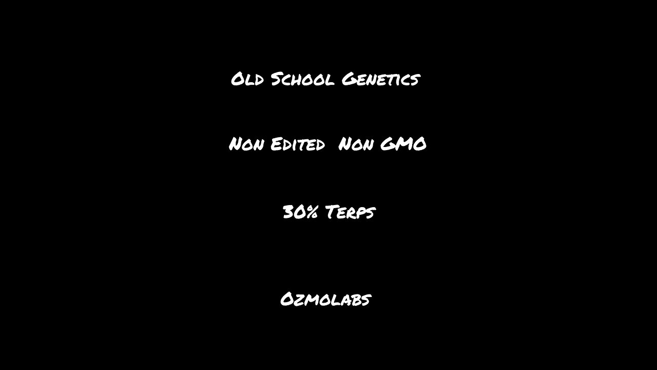 Non gmo 30%terps cannabis