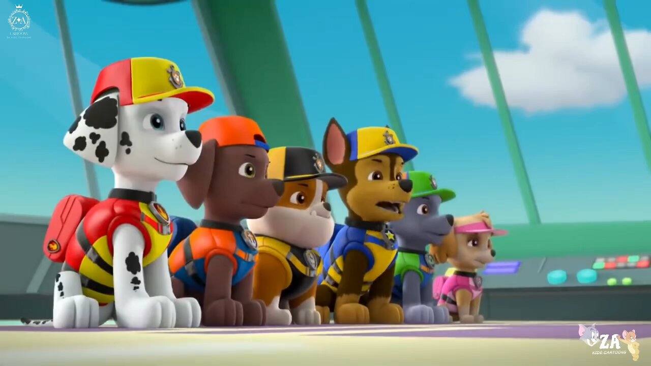 PAW Patrol Cartoons