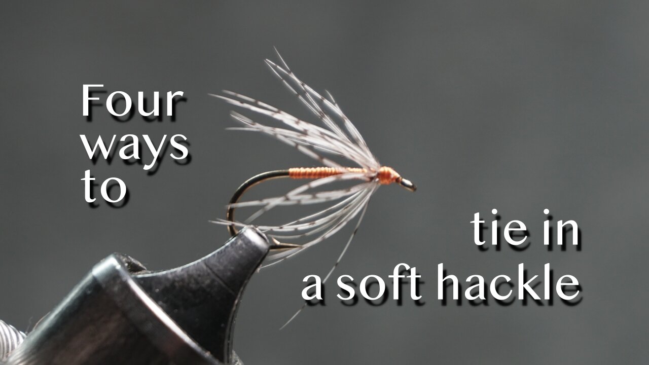 Four ways to tie in a soft hackle