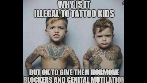 9525 Terry Reports - Political TRIGGER Warning!