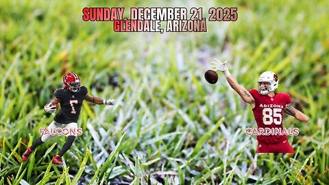 Atlanta Falcons @ Arizona Cardinals, Week16, Diggin' Deeper Into the NFL