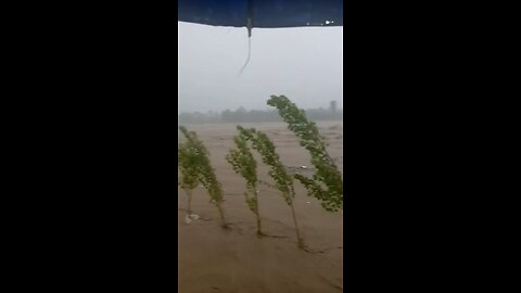 12 people are sink in daryae swat