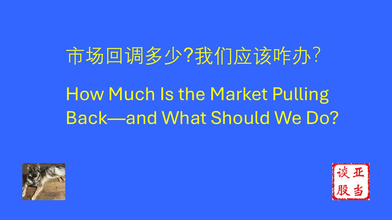 我成功预测这次市场回调。它会跌多深? 我该怎么应对? I Predicted the Market Correction — How Deep It Might Go and What I'm Doing