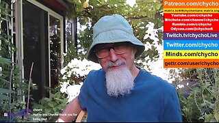 Patio Garden Open Discussion -- Friday, July 18, 2025 [ASMR]