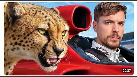 World's Fastest Car Vs Cheetah