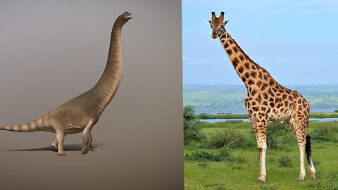 Saturday Evening Dinosaur & Animal Talk
