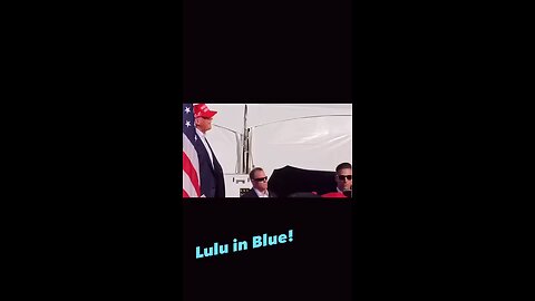 Photographers, Journalists, Camera Men, who's REALLY WHO? TREASON!