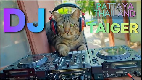 Cat TAIGER is DJ
