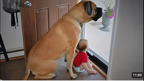 When Big Dogs Prove They're the Best Babysitters ❤️